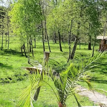 Hébergement de vacances Piscine Jacuzzi Sauna 4 étoiles *